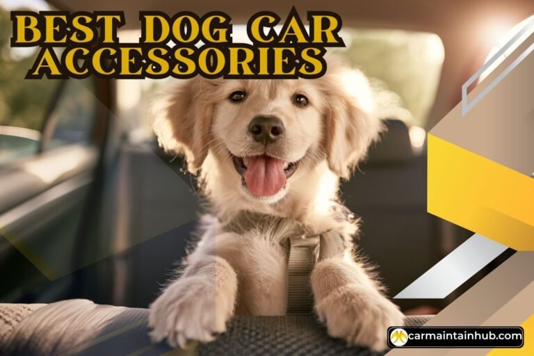 best dog car accessories